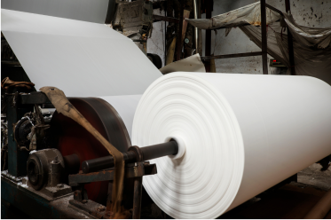 Pulp & Paper